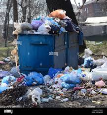 Best Yard Waste Removal  in Picture Rocks, AZ