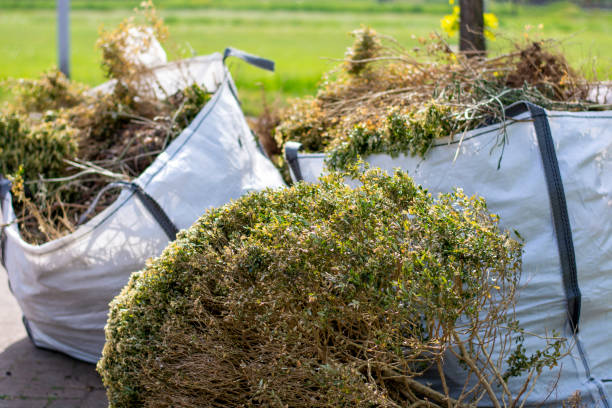 Best Hoarding Cleanup  in Picture Rocks, AZ